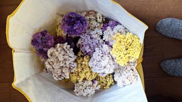 Droogbloemen  beschikbaar voor biedingen