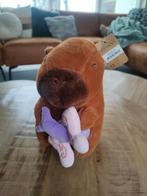 Capibara knuffel, Ophalen of Verzenden, Zo goed als nieuw, Overige typen