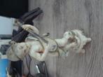 oude beeldje, Antiek en Kunst, Ophalen of Verzenden