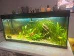 Jewel 120cm aquarium compleet met eheim 4+, Dieren en Toebehoren, Vissen | Aquaria en Toebehoren, Ophalen, Zo goed als nieuw, Gevuld zoetwateraquarium
