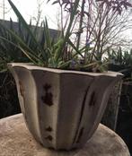 Grote unieke oude terracotta jaren’50 bloempotten 38cm, Tuin en Terras, 40 cm of meer, Rond, Zo goed als nieuw, Minder dan 40 cm