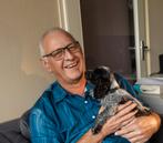 Gezocht dame voor gezelligheid door man., Contacten en Berichten