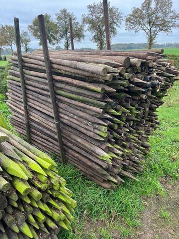 Boompalen beschikbaar voor biedingen
