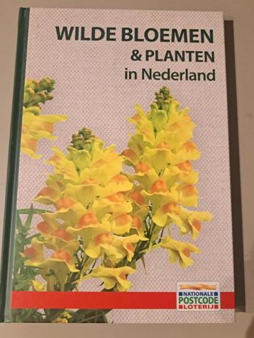 Wilde Bloemen en Planten in Nederland beschikbaar voor biedingen