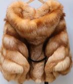 Saga zeldzame Golden Island fox  leer& vacht (enorme), Bruin, Maat 42/44 (L), Nieuw, Ophalen of Verzenden