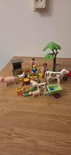 Playmobil, Ophalen of Verzenden, Gebruikt