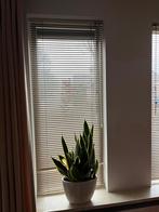 Taupe aluminium jaloezieën - 4 stuks, Ophalen, Gebruikt, Overige kleuren, 200 cm of meer