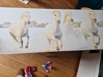 Paarden Canvas Schilderij 40x100cm beschikbaar voor biedingen