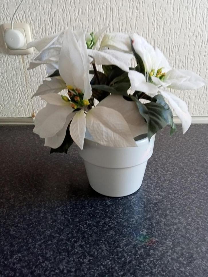 KERST: prachtige kunst kerstster wit in witte keramische pot, Huis en Inrichting, Woonaccessoires | Droogbloemen, Ophalen of Verzenden