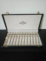 Zilveren Theelepeltjes Hofleverancier van der Meij, Antiek en Kunst, Antiek | Bestek, Ophalen