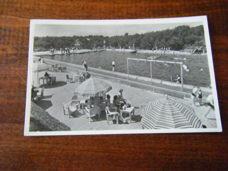 S36 - Putten - Zwembad / Bosbad - 1951 - Mooi/Oud 6, Verzamelen, Ansichtkaarten | Nederland, Gelderland, 1940 tot 1960, Ophalen of Verzenden