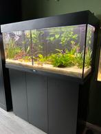 Schitterende Juwel rio 180 L  led 1 jaar oud!! Inclusief…., Dieren en Toebehoren, Vissen | Aquaria en Toebehoren, Ophalen, Zo goed als nieuw