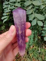 Phi Vogel amethist 12 facetten