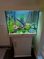 Te koop: Juwel Lido 200 wit, Dieren en Toebehoren, Vissen | Aquaria en Toebehoren, Ophalen, Gebruikt, Leeg aquarium