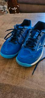 Mizuno zaalschoenen - Maat 40, Sport en Fitness, Korfbal, Ophalen of Verzenden, Zo goed als nieuw