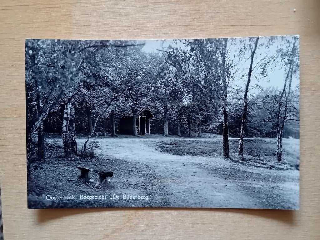 Ansichtkaart Oosterbeek, Ophalen of Verzenden, Gelderland