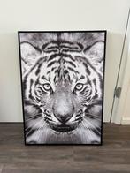 Canvas childerij tijger 70x50x2,5cm, Ophalen, Zo goed als nieuw, Foto of Poster, 50 tot 75 cm