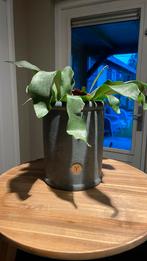 Brynxz plantenpot, Tuin en Terras, Bloembakken en Plantenbakken, Rond, Minder dan 60 cm, Ophalen of Verzenden, Minder dan 30 cm