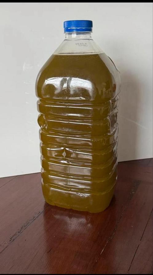 Olijfolie uit Azzaba Sefrou € 15 per liter, Diversen, Levensmiddelen, Ophalen of Verzenden