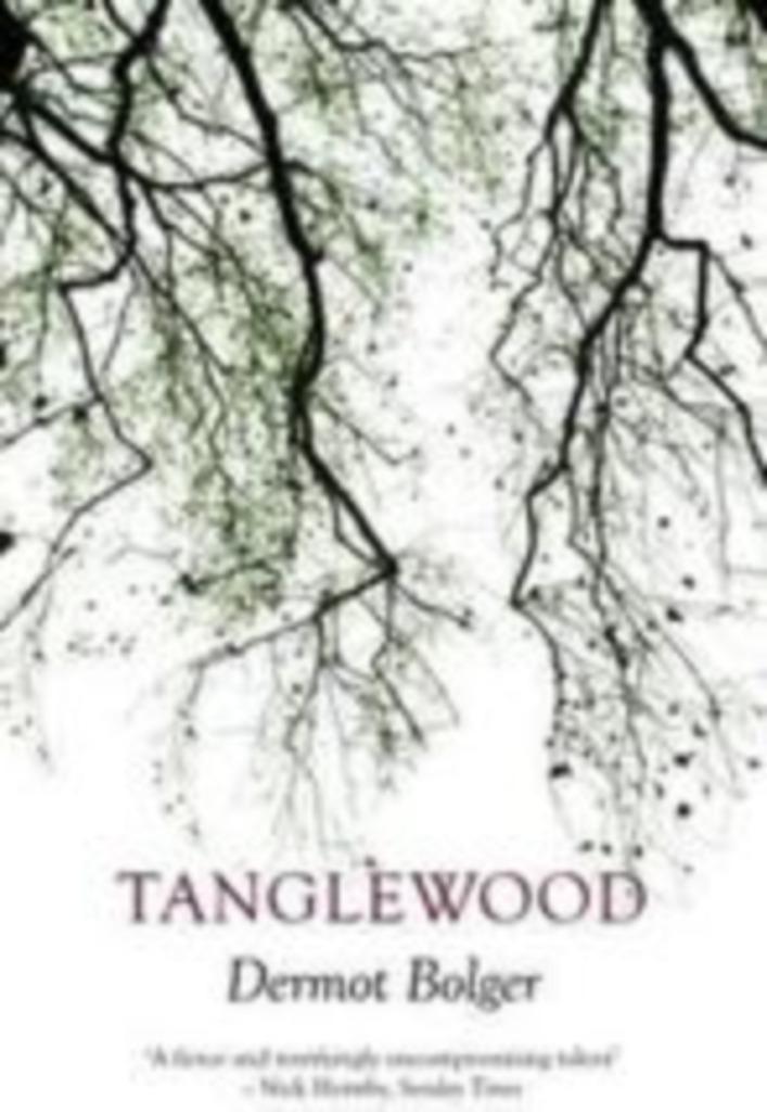 Dermot Bolger: Tanglewood, Boeken, Taal | Engels, Gelezen, Ophalen of Verzenden