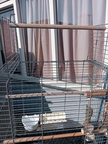 Vogel kooi ZGAN beschikbaar voor biedingen