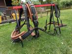 Ideal Equestrian enkelspan mentuig. Paard/pony. Cob maat., Dieren en Toebehoren, Ophalen, Zo goed als nieuw, Overige soorten