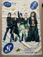 Spice Girls Vintage Sjaal - 1997, Ophalen of Verzenden, Gebruikt, Kleding