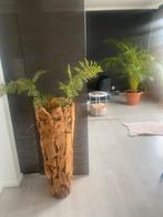 Mooie vaas / plantenbak binnen ( intratuin), Ophalen, Minder dan 60 cm, Rond, Zo goed als nieuw