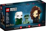 40496 Voldemort, Nagini & Bellatrix nieuw en ongeopend, Ophalen of Verzenden, Nieuw, Complete set, Lego