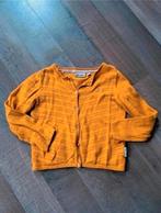 Heel mooi Tumble n dry vestje maat 92, Kinderen en Baby's, Kinderkleding | Maat 92, Tumble 'n Dry, Meisje, Trui of Vest, Ophalen of Verzenden