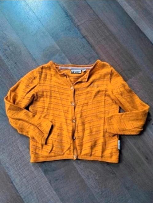 Heel mooi Tumble n dry vestje maat 92, Kinderen en Baby's, Kinderkleding | Maat 92, Zo goed als nieuw, Meisje, Trui of Vest, Ophalen of Verzenden