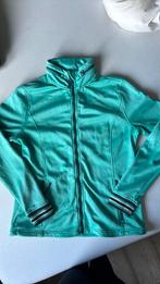 Anky vest mt L, Ophalen of Verzenden, Gebruikt, Dames, Bovenkleding