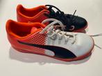 Puma Evospeed maat 39 nieuw, Kleding | Heren, Schoenen, Puma, Nieuw, Ophalen of Verzenden, Wit