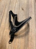 Treponti tuigje hond, Ophalen of Verzenden