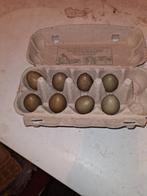 Te koop bosfazant eieren, Dieren en Toebehoren, Pluimvee | Toebehoren, Ophalen of Verzenden, Zo goed als nieuw