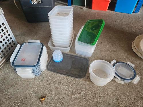 Diverse vershoudbakjes, Huis en Inrichting, Keuken | Tupperware, Gebruikt, Bak of Kom, Groen, Ophalen