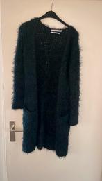 Aaiko vest maat xs, Ophalen of Verzenden, Gedragen, Maat 34 (XS) of kleiner, Groen