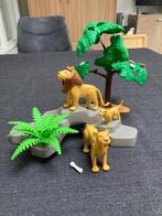 Playmobil Leeuwenfamilie 3239, Ophalen of Verzenden, Zo goed als nieuw, Complete set