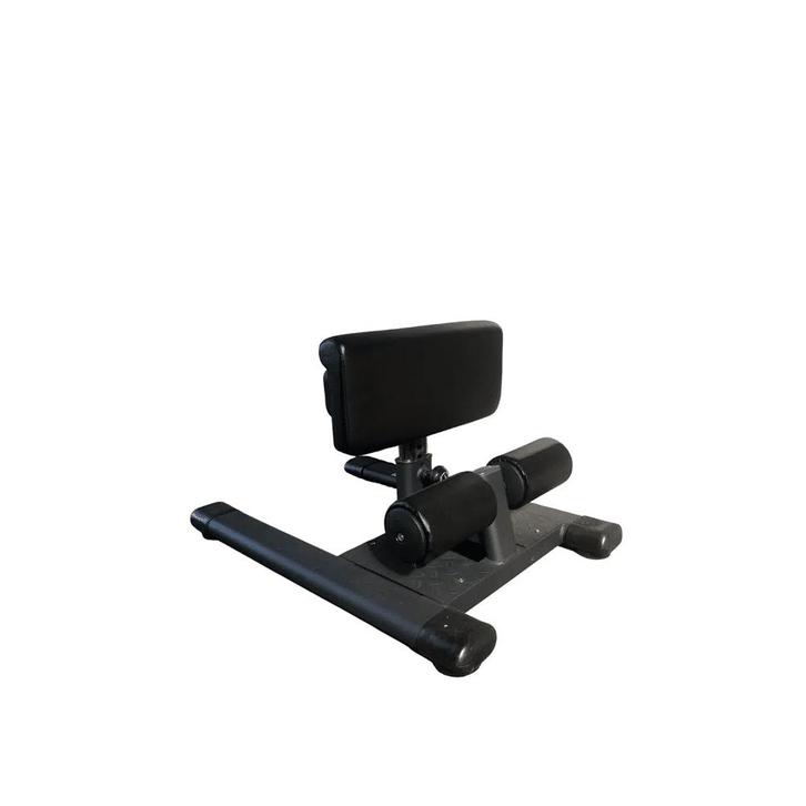 GYMFIT – SISSY SQUAT STATION, Sport en Fitness, Fitnessmaterialen, Nieuw, Overige typen, Armen, Benen, Borst, Buik, Rug, Ophalen of Verzenden