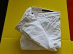 BERWICH  Italiano Broek met witte kleur maat 50, BERWICH Italiano, Zo goed als nieuw, W33 - W34 (confectie 48/50), Verzenden