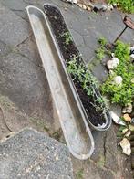Bloemenbakkje en planten, Ophalen, Zo goed als nieuw, Rond, Minder dan 60 cm