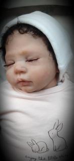 reborn, Verzamelen, Poppen, Ophalen of Verzenden, Nieuw