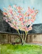 Voorstelling boerderij met boom vol bloesem 50x40 aquarel, Ophalen of Verzenden