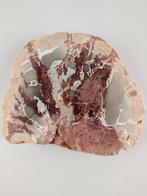 Versteend hout, Ophalen of Verzenden, Mineraal