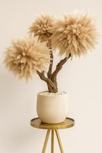 Pampas Boom - Handgemaakt Decoratie, Ophalen, Nieuw, Binnen
