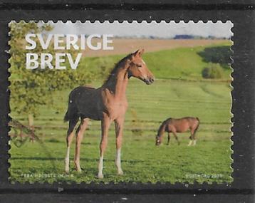295-25 Zweden 2023 / Paard en Veulen beschikbaar voor biedingen