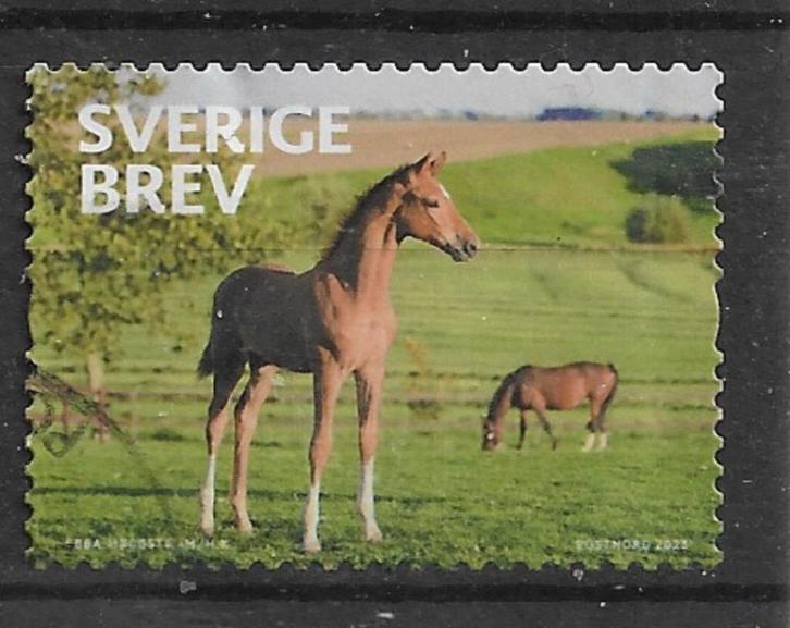 295-25 Zweden 2023 / Paard en Veulen, Postzegels en Munten, Postzegels | Europa | Scandinavië, Gestempeld, Zweden, Verzenden