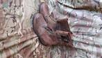 Us ww2 model buckle boots (1), Verzamelen, Militaria | Tweede Wereldoorlog, Amerika, Ophalen of Verzenden, Landmacht