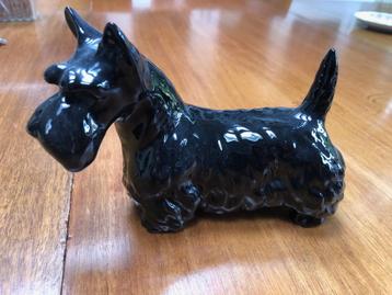 Schotse terrier, beeldje, aardewerk beschikbaar voor biedingen