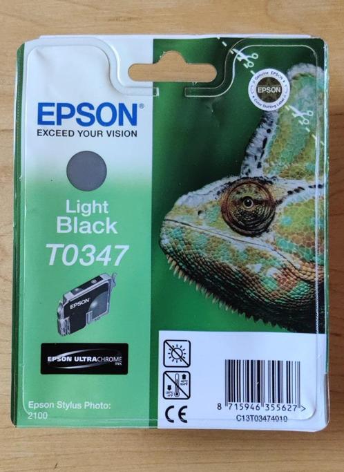 Epson inkt voor Epson stylus photo 2100, Computers en Software, Printerbenodigdheden, Nieuw, Cartridge, Ophalen of Verzenden